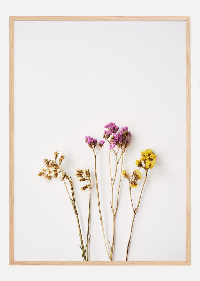 Dried flowers I Poster