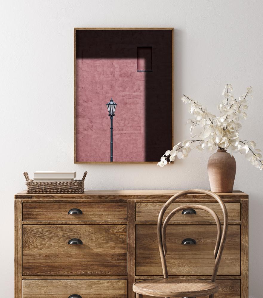 Pink Frame Poster