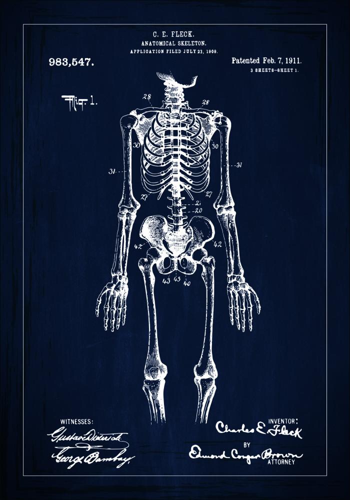 Patentzeichnung - Anatomisches Skelett I - Blau Poster