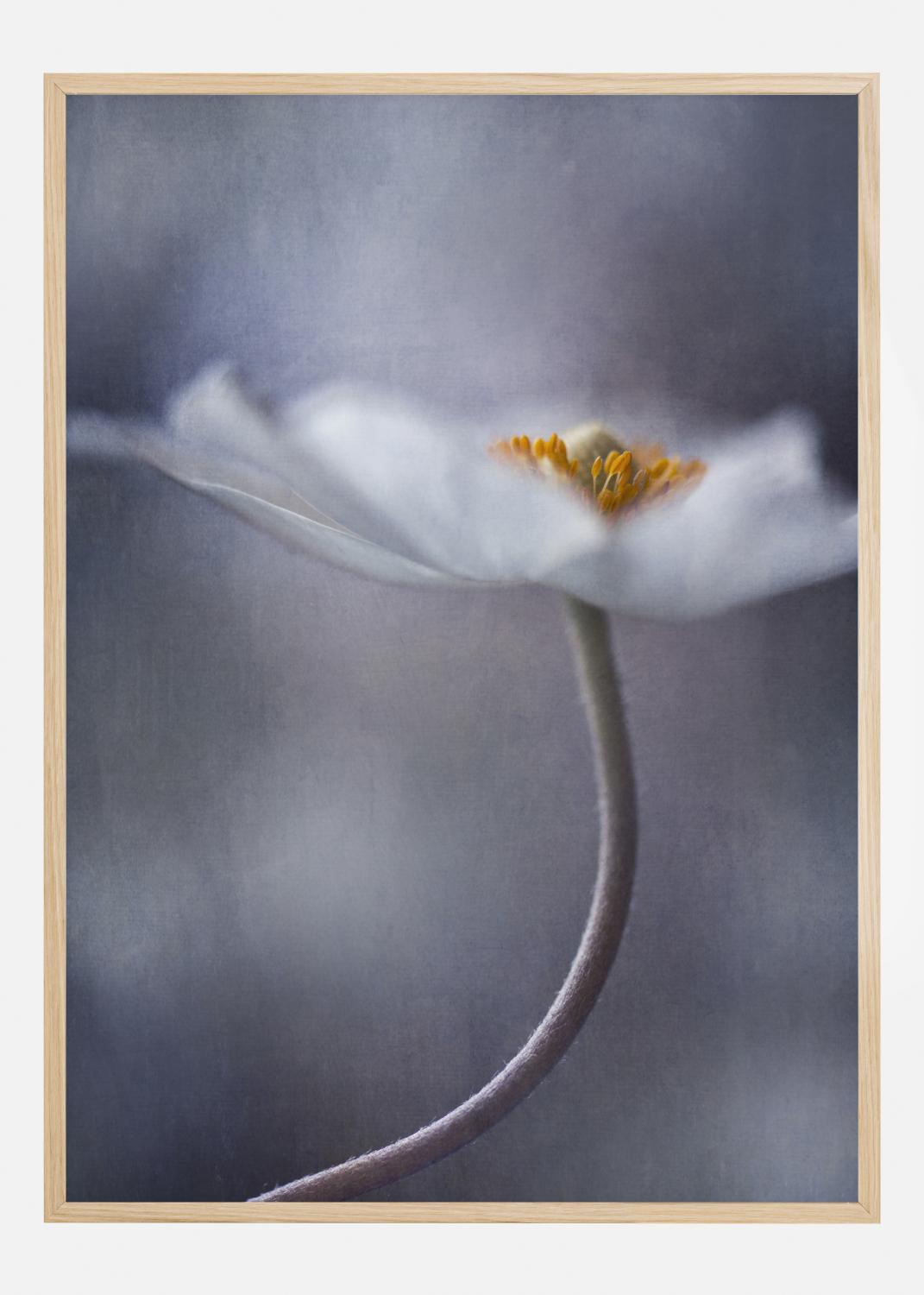 Product Image for The Beauty Within Poster (70x100 cm)