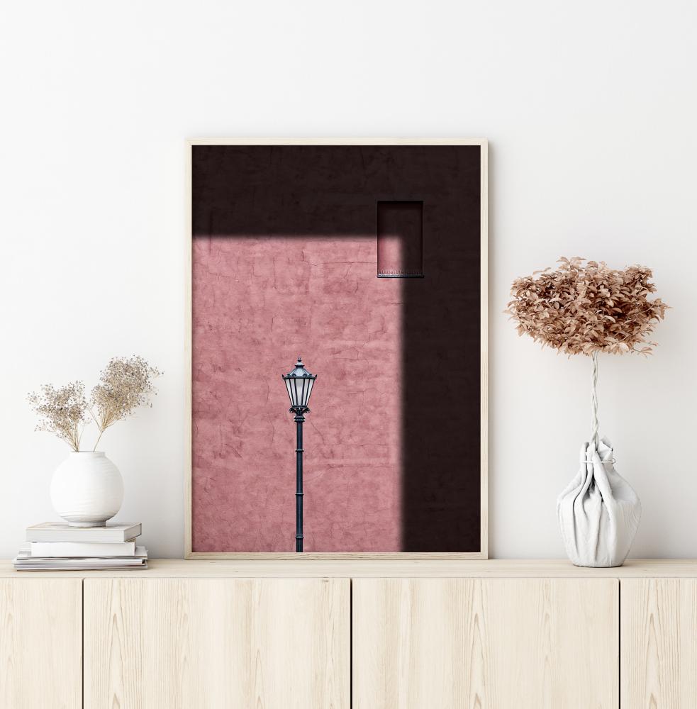 Pink Frame Poster