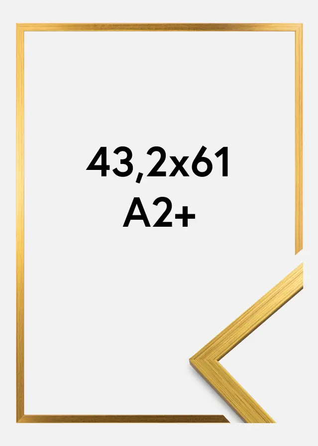 Rahmen Edsbyn Gold 43,2x61 cm (A2+)