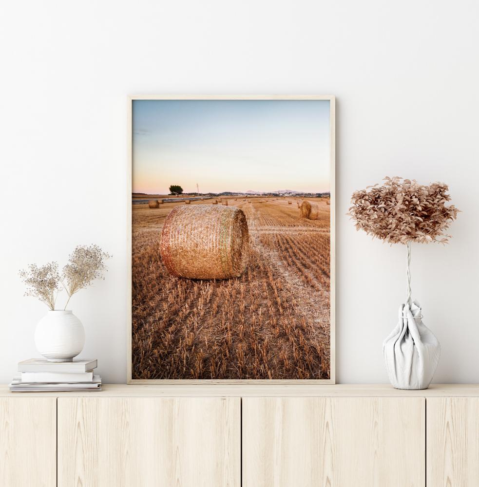 Hay Fields Poster