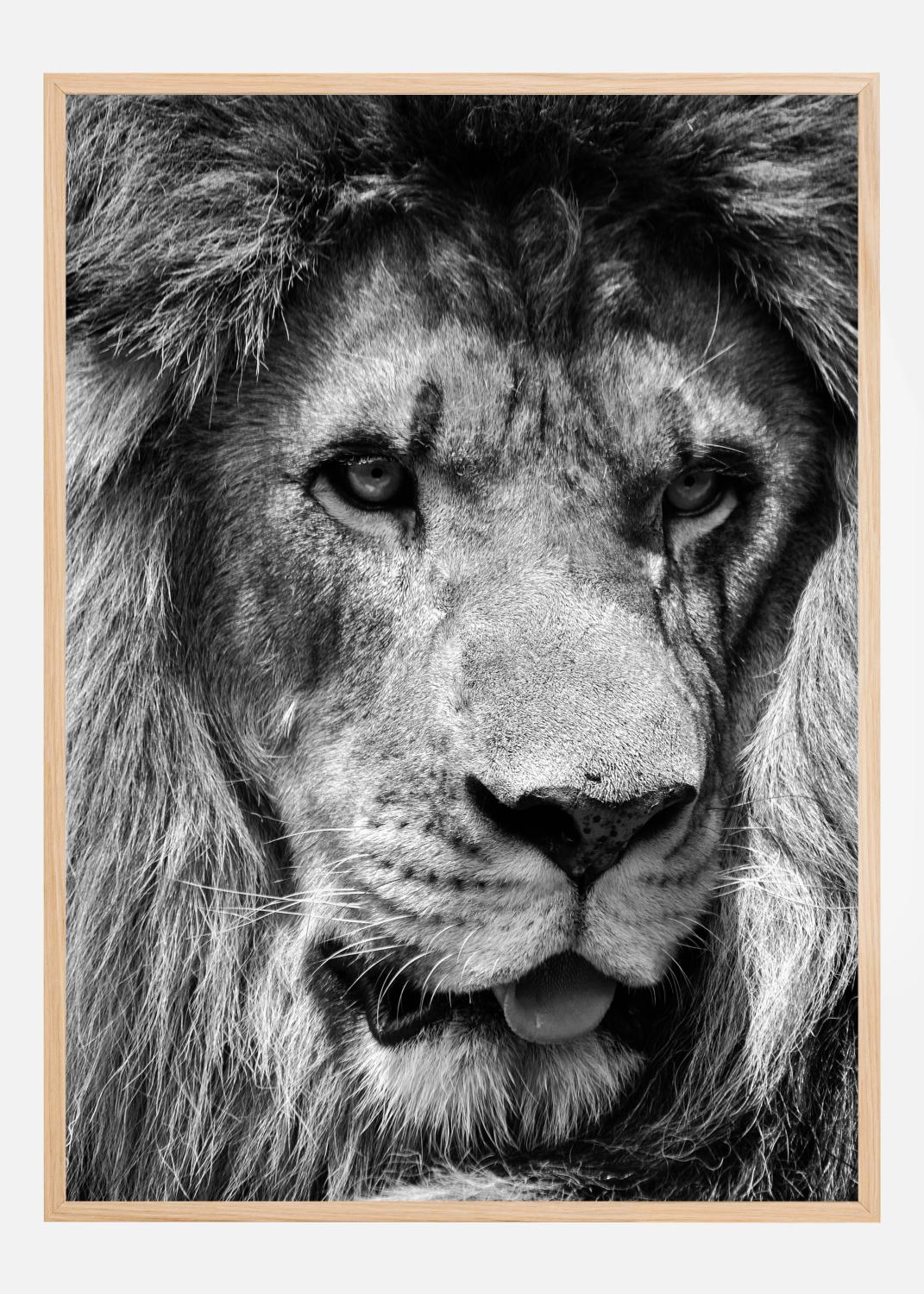 Product Image for Lion King Poster (30x40 cm)