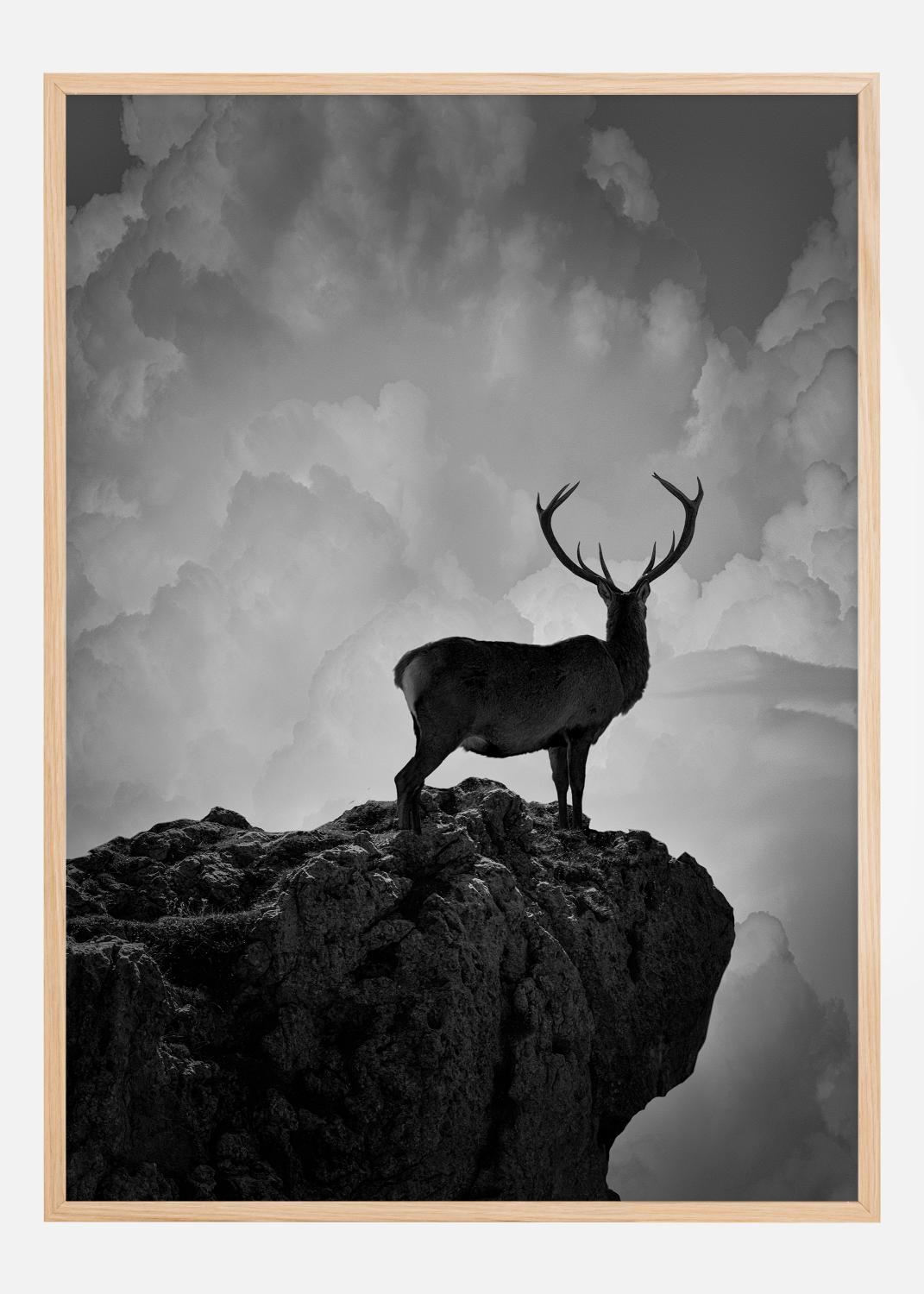 Product Image for Black and White Deer Poster (21x29.7 cm (A4))