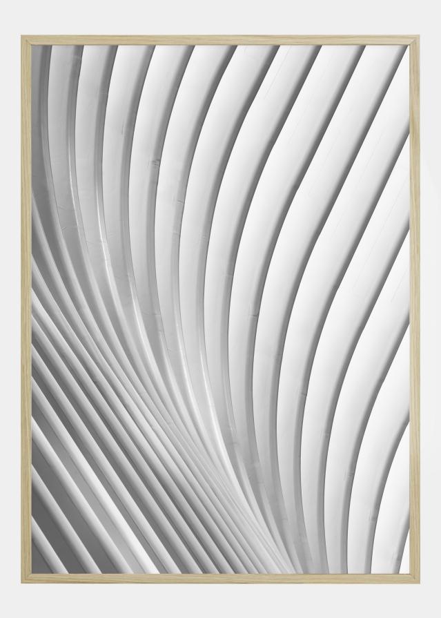 Calatrava Lines Poster