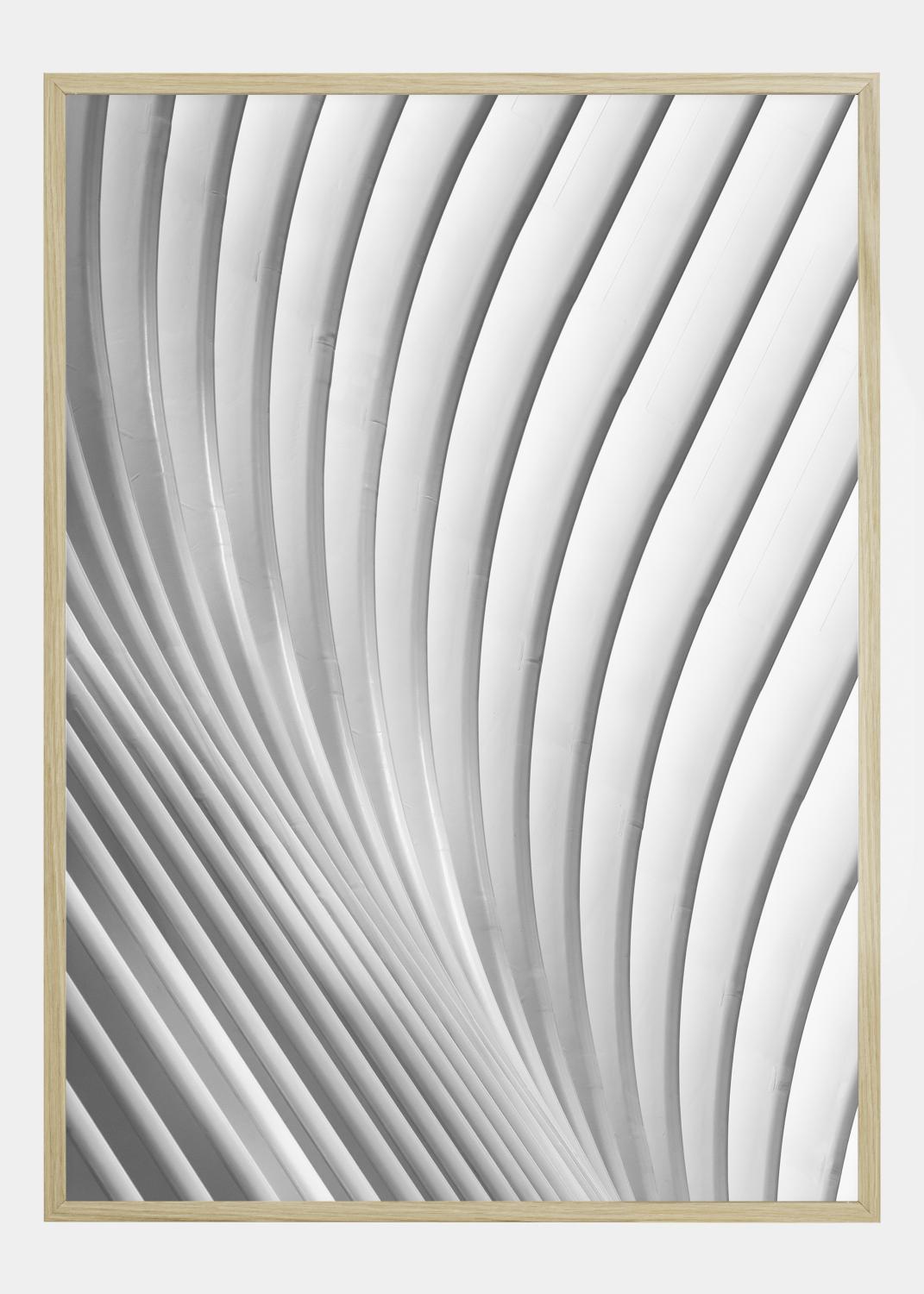 Product Image for Calatrava Lines Poster (50x70 cm)