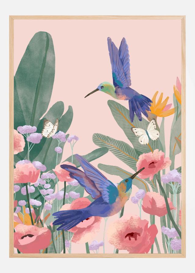 Hummingbirds Poster