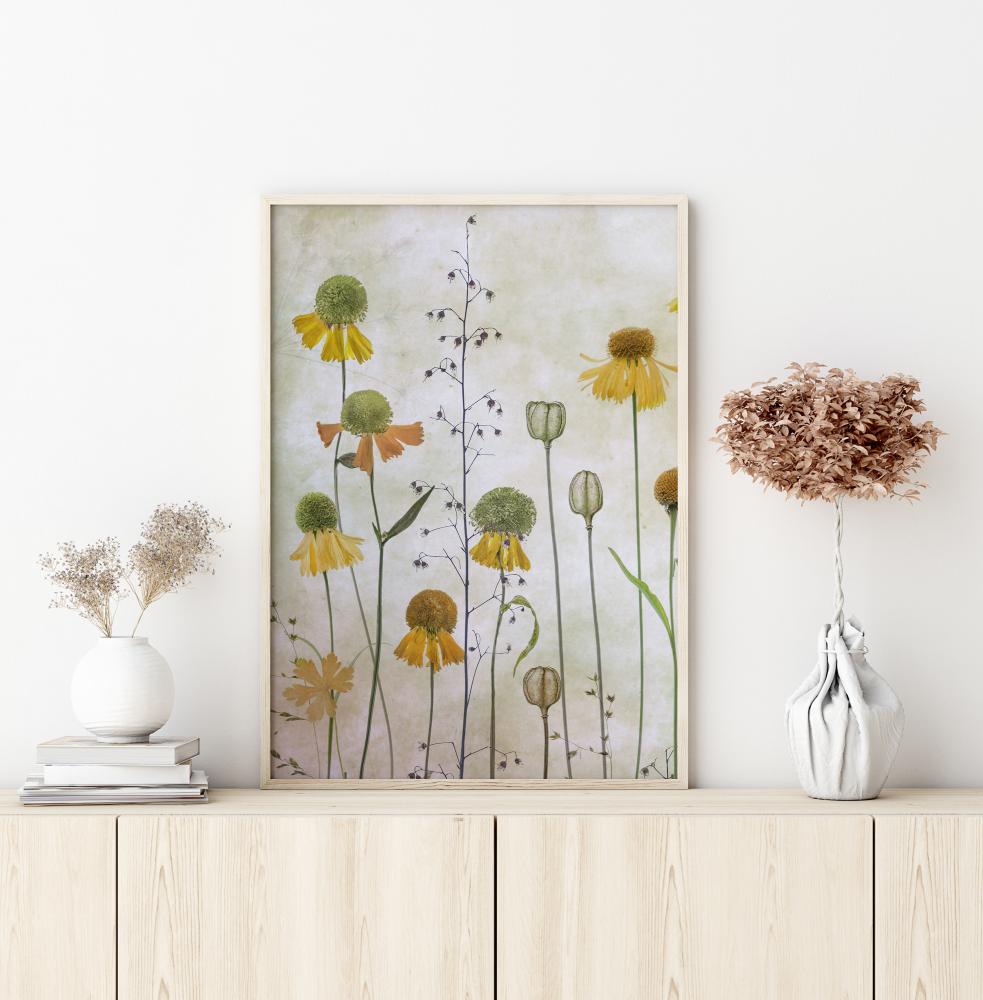 Helenium Poster