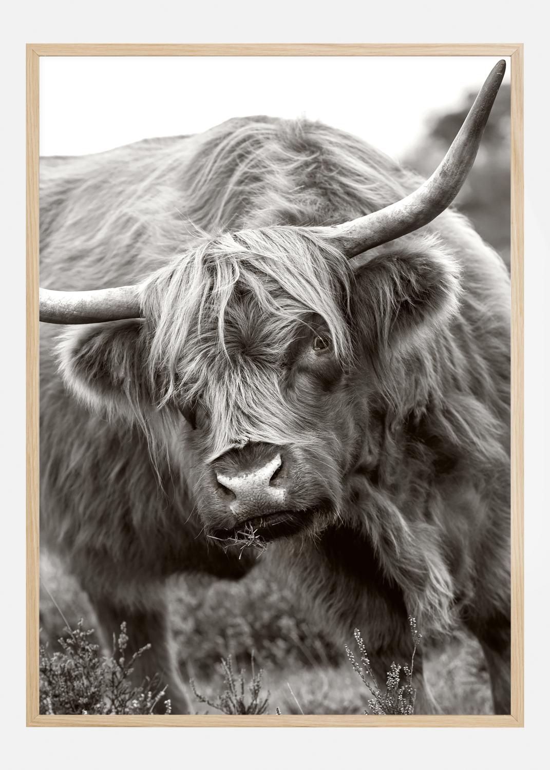 Product Image for The Bull Poster (21x29.7 cm (A4))