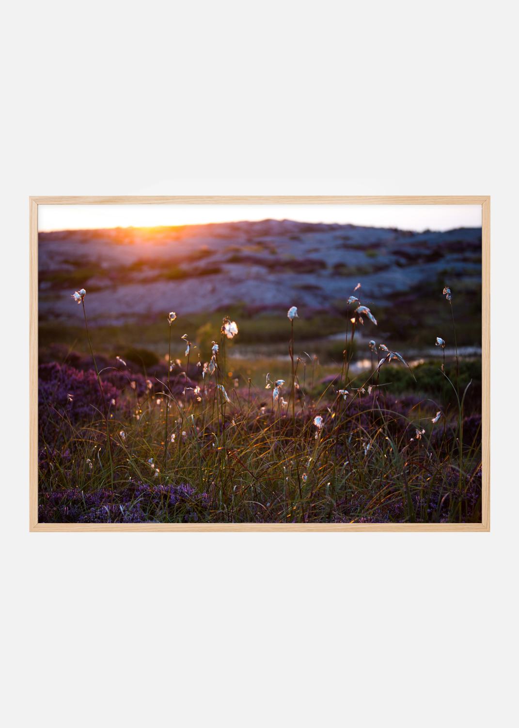 Product Image for Summer evening on the rocks Poster (21x29.7 cm (A4))