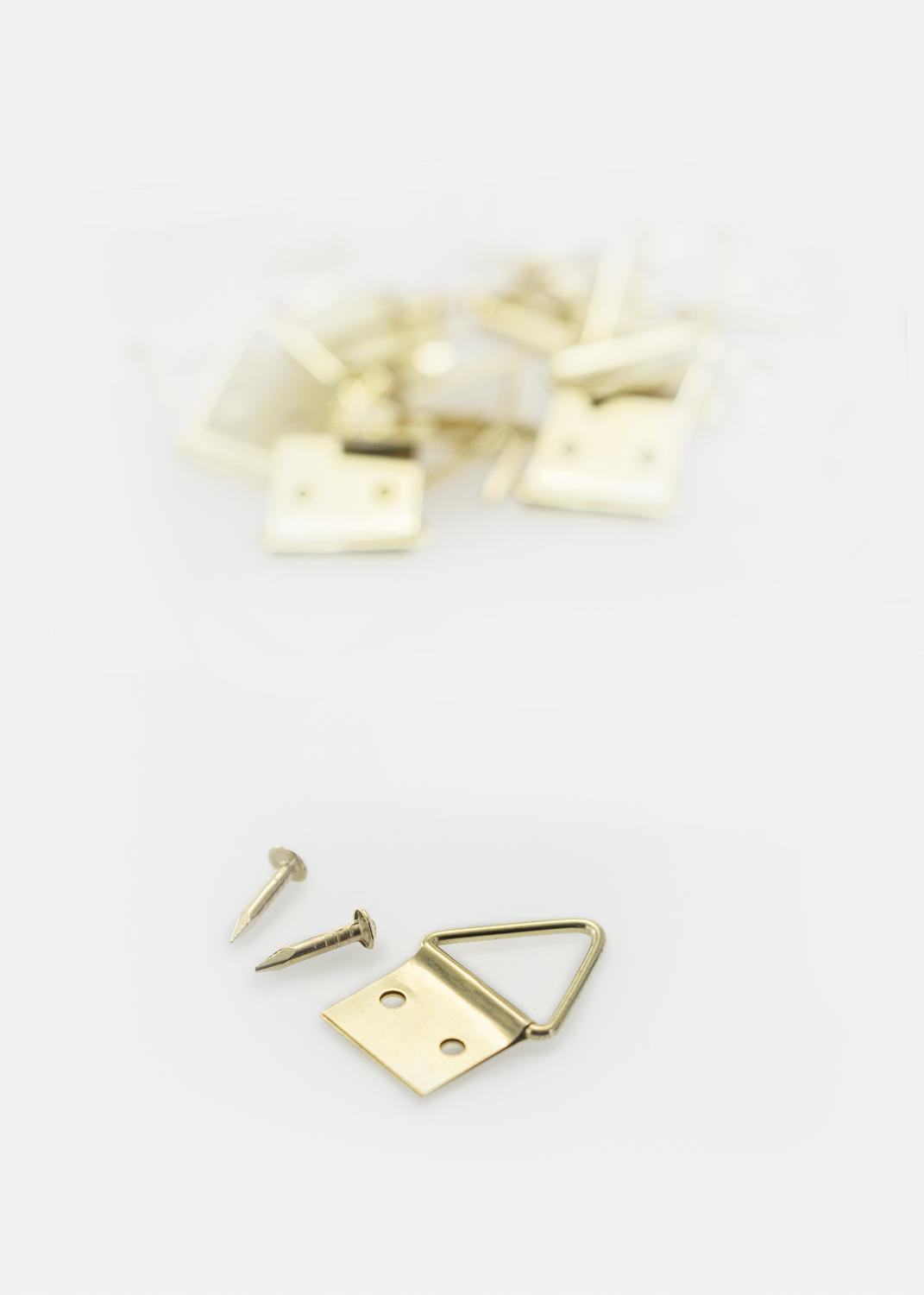 Product Image for Bilderöse Medium - 10er-Pack
