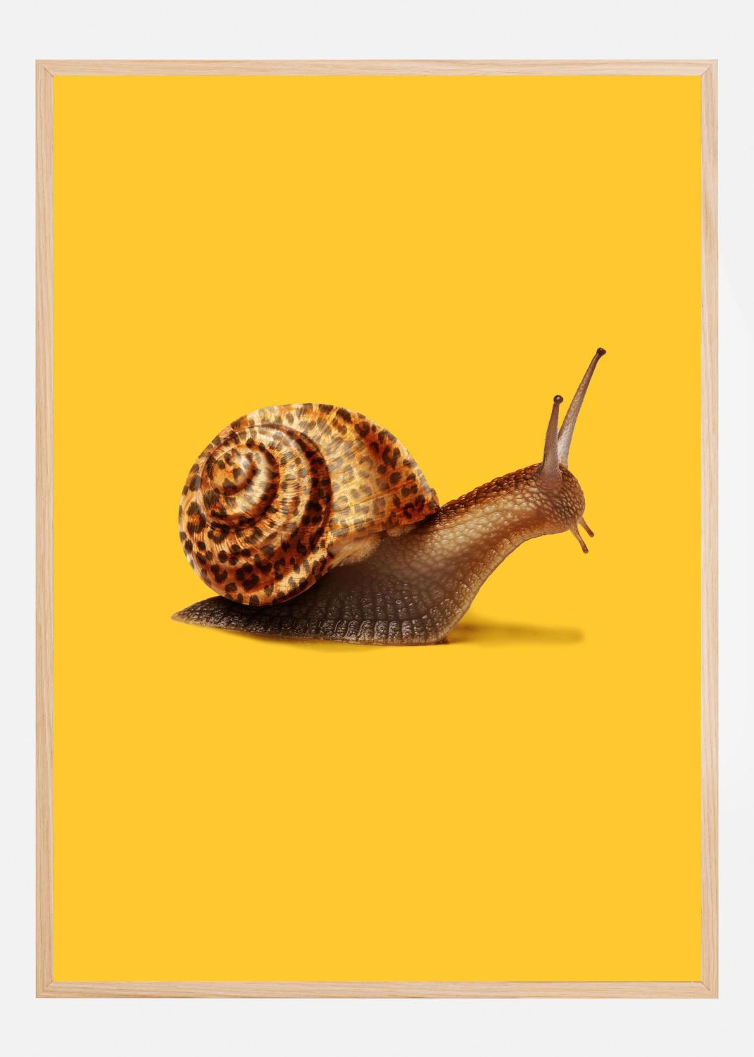 Product Image for Fast like Cheetah Poster (21x29.7 cm (A4))