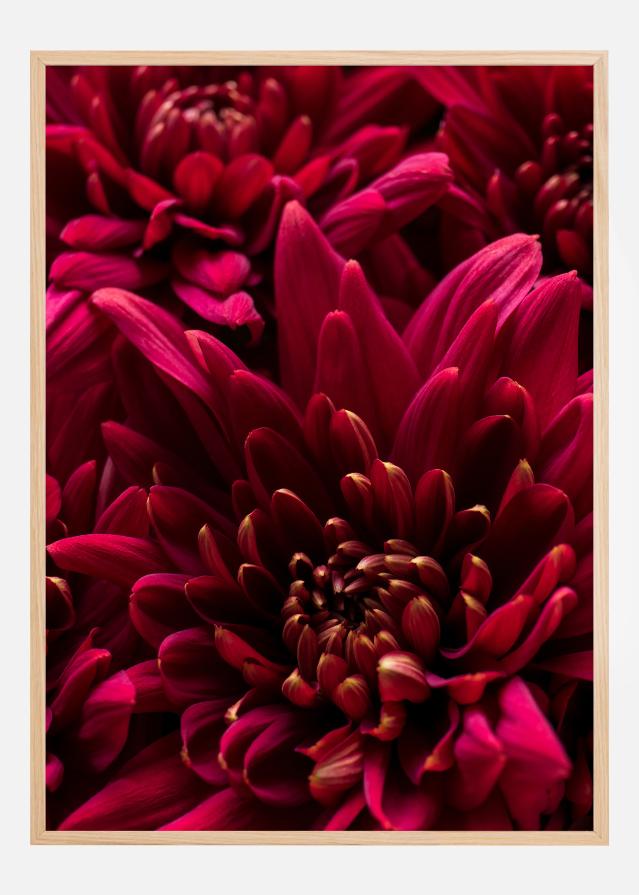 Cerise Flower Poster