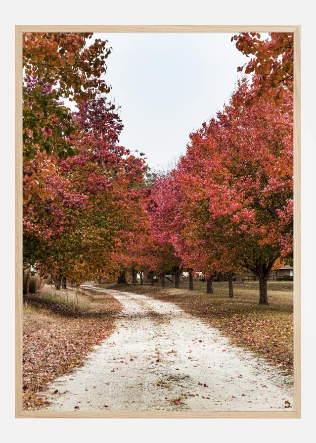 Autum Road Poster