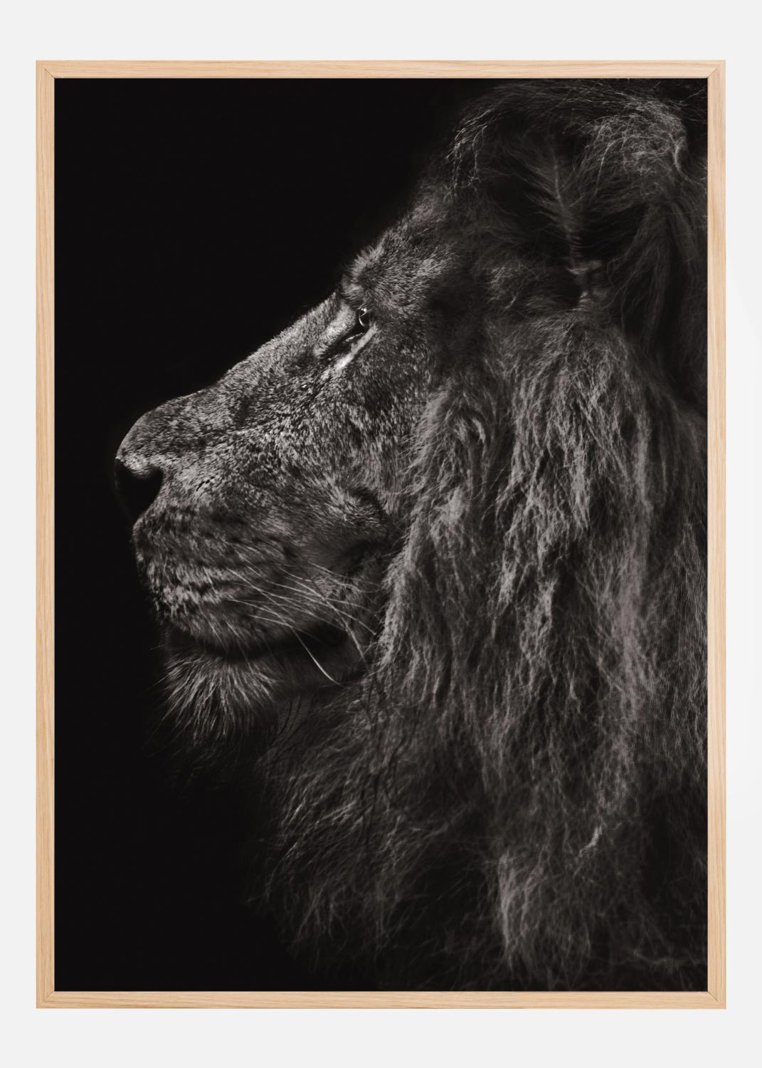 Product Image for Lion In Profile Poster (21x29.7 cm (A4))