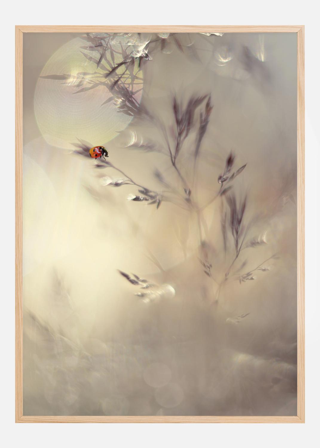 Product Image for Little Lady Poster (21x29.7 cm (A4))