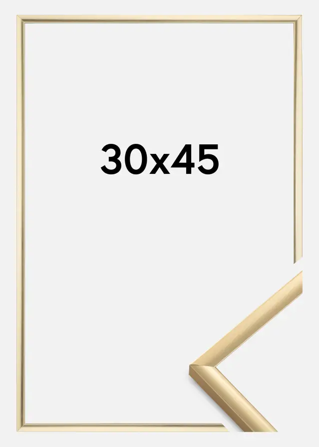 Rahmen New Lifestyle Gold 30x45 cm