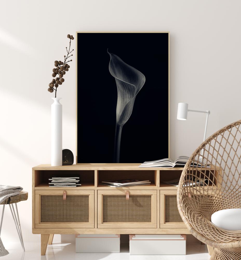 Calla Lily Poster