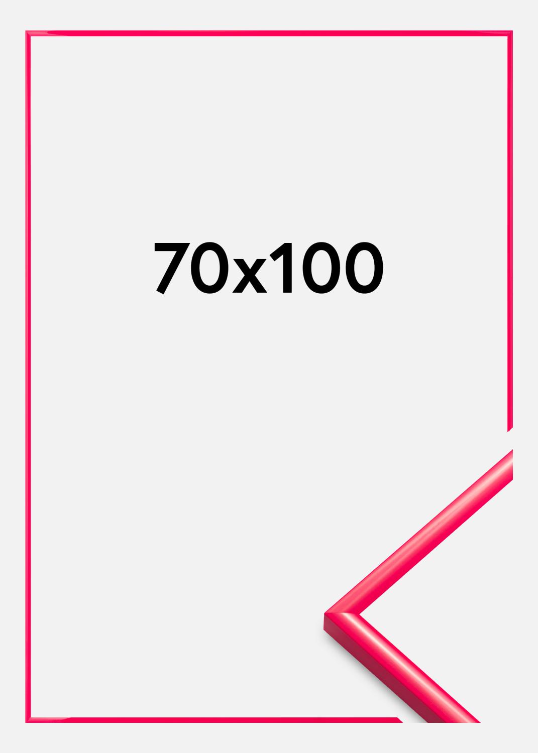 Product Image for Rahmen New Lifestyle Acrylglas Hot Pink 70x100 cm
