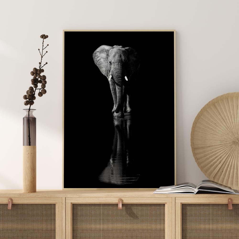 Elephant Poster