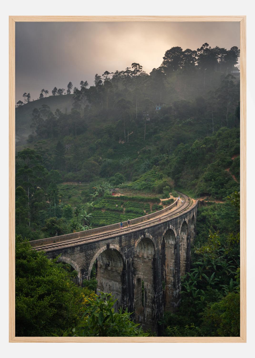 Product Image for Jungle train rails Poster (40x50 cm)