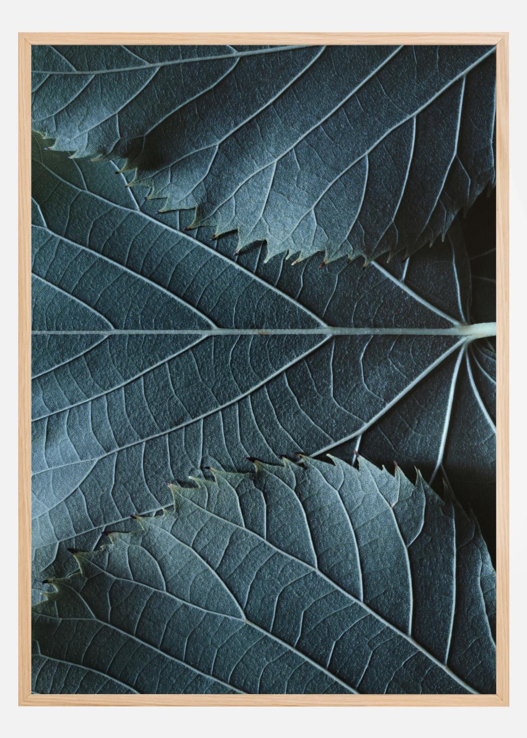 Product Image for Blue Leaves Poster (21x29.7 cm (A4))