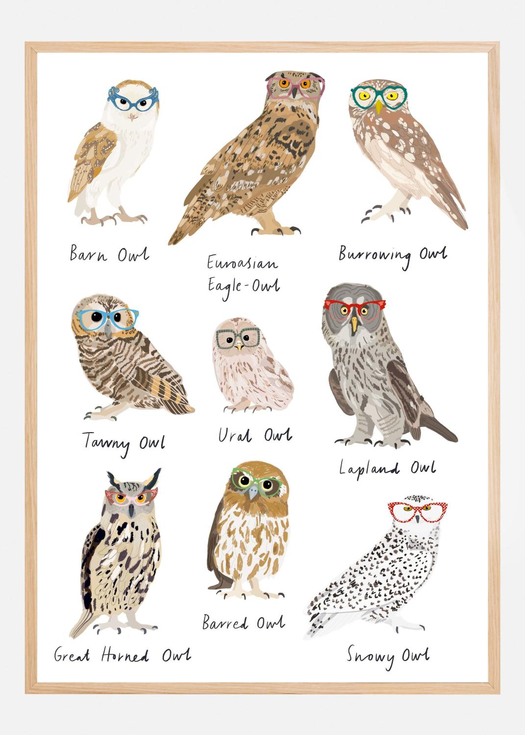 Product Image for Owls In Glasses Print Poster (100x140 cm)