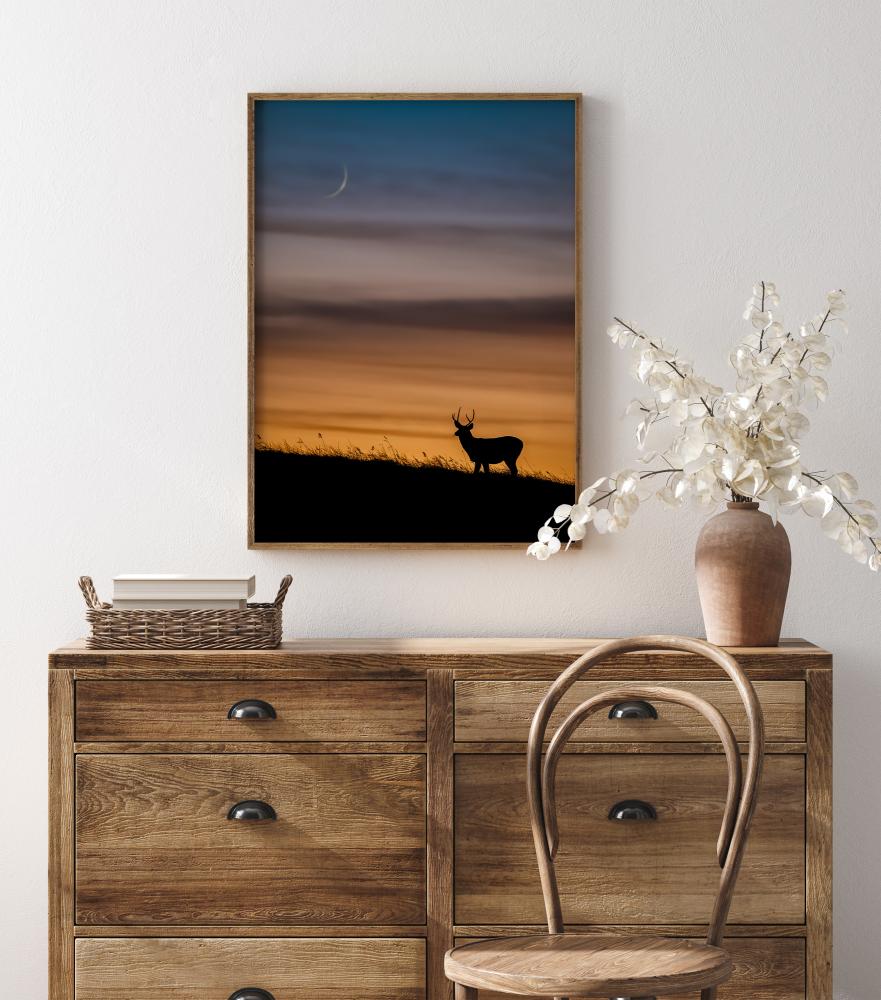 Deer In Sunset Poster