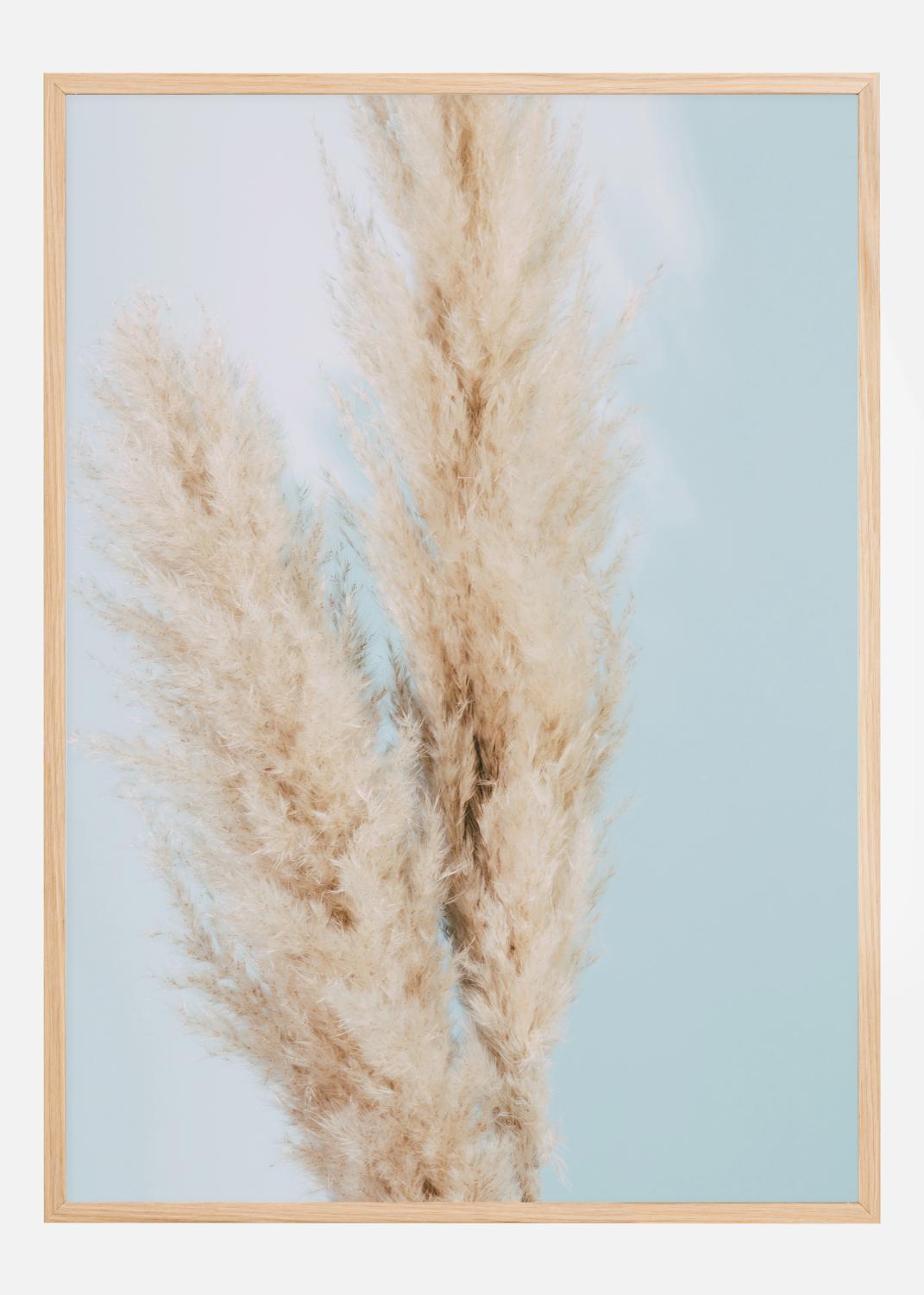 Product Image for Pampas Grass Blue Poster (30x40 cm)