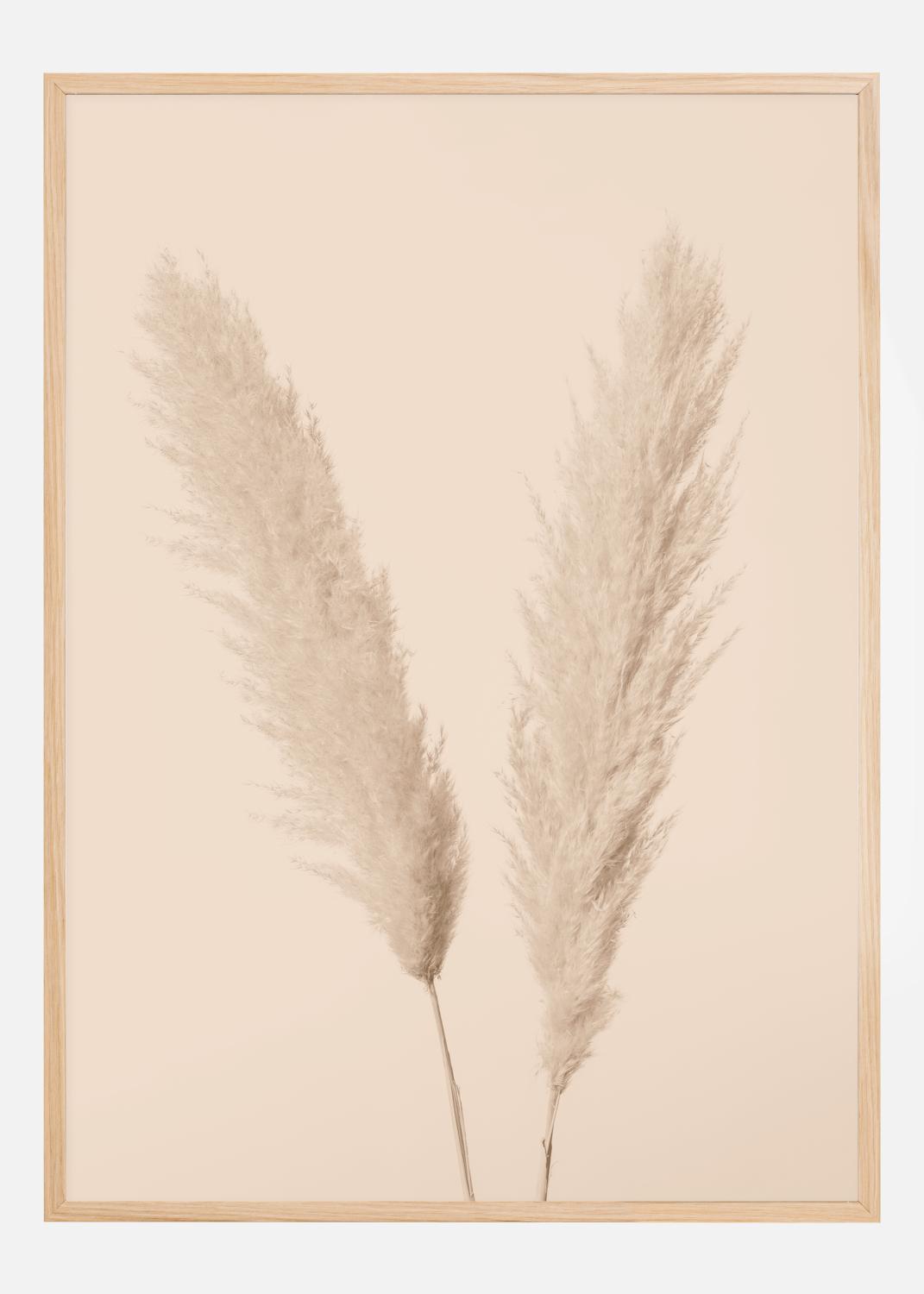Product Image for Pampas Grass I Poster (21x29.7 cm (A4))