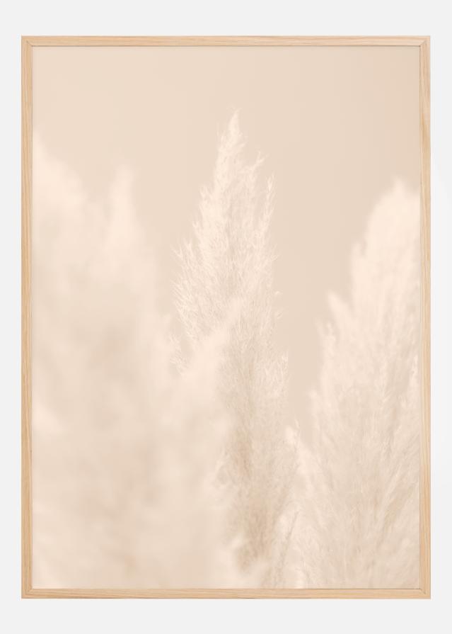 Pampas Grass II Poster