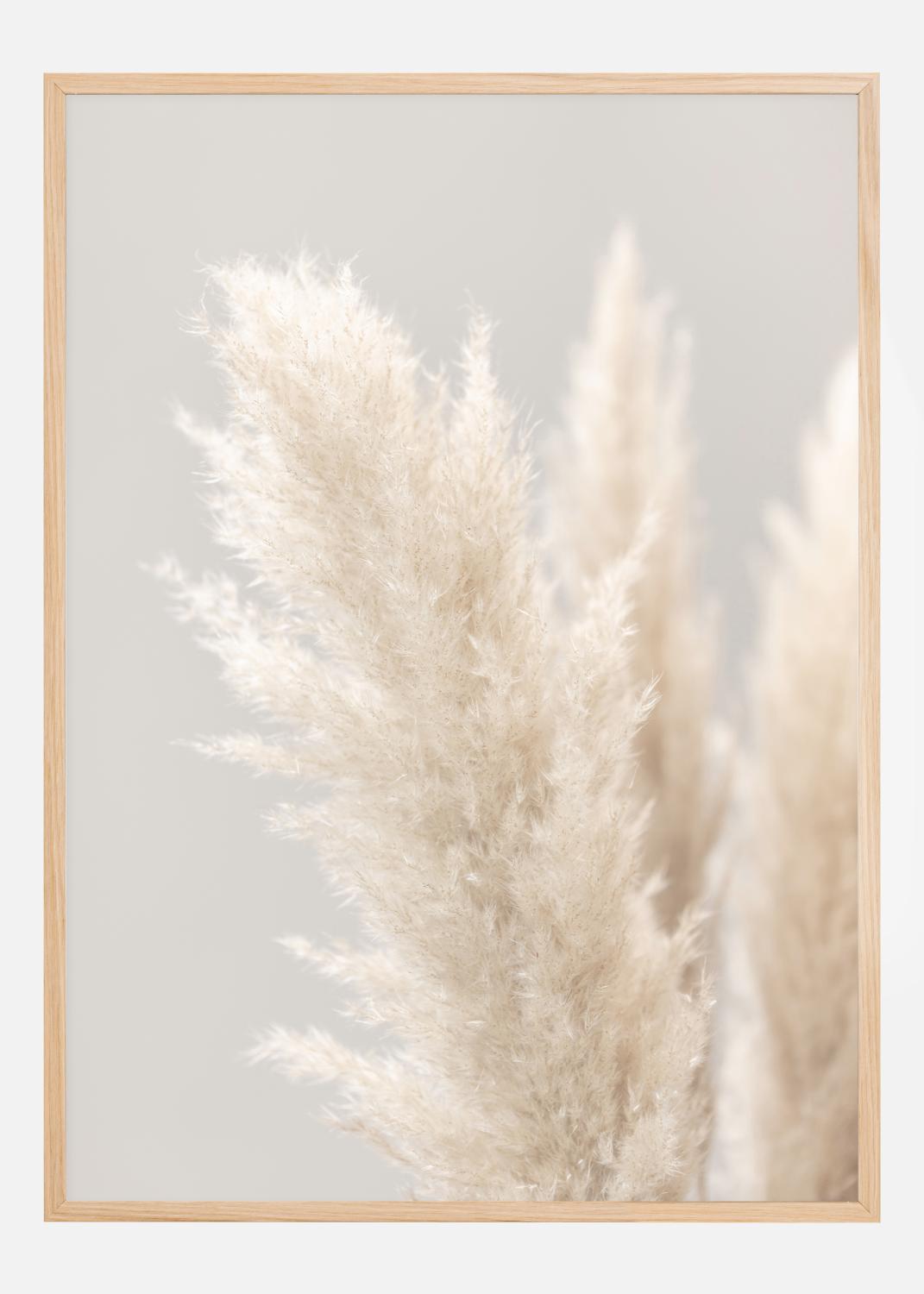 Product Image for Pampas Grass IIII Poster (30x40 cm)