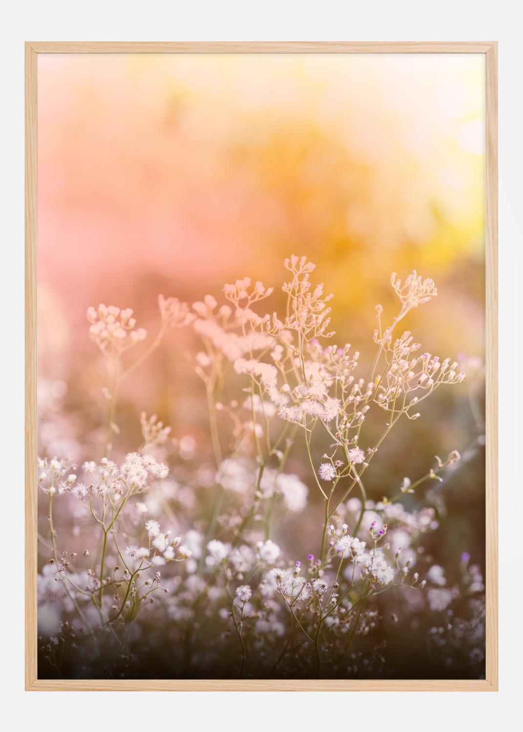 Product Image for A Beautiful Summer Evening Poster (70x100 cm)
