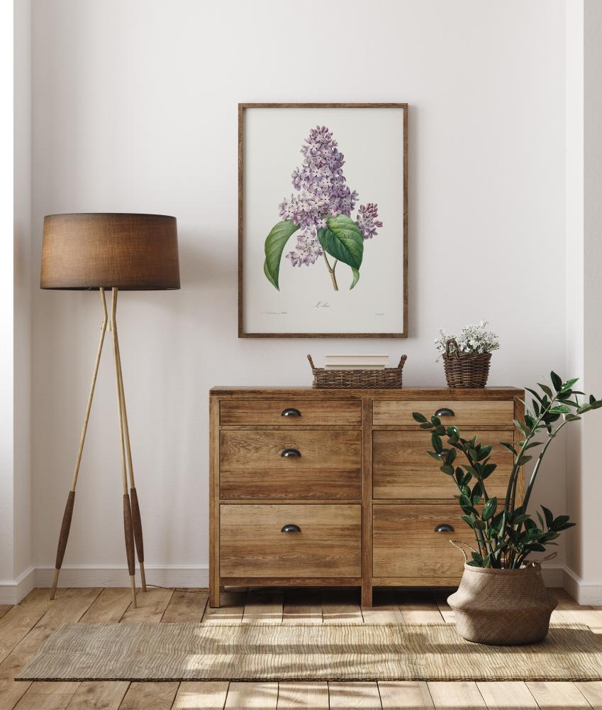 Lilac Flower Poster