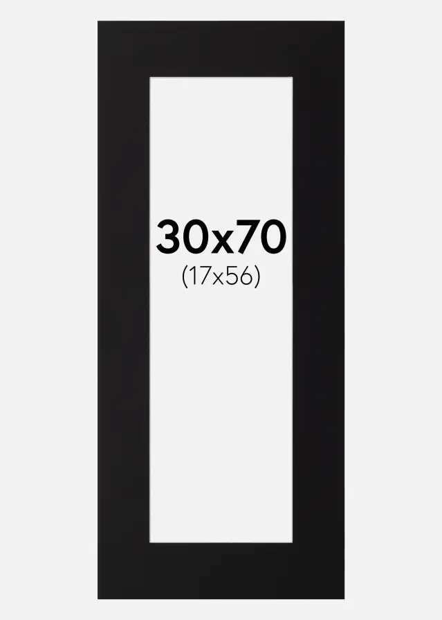 Passepartout Canson Schwarz (weißer Kern) 30x70 cm (17x56)