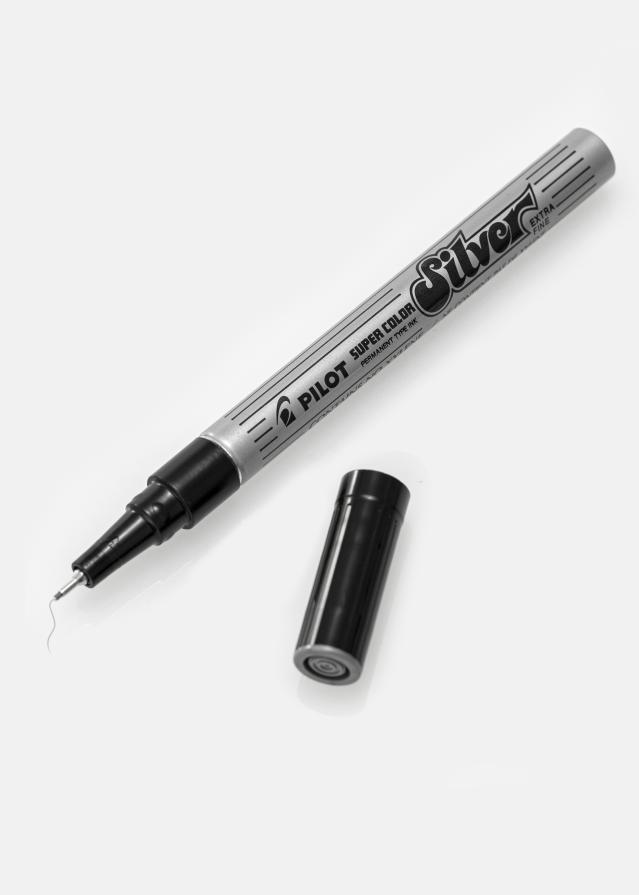 Pilot Albumstift Silber