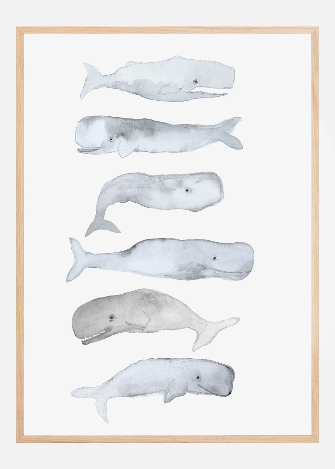 Product Image for Kids Line Whale Art Poster (21x29.7 cm (A4))