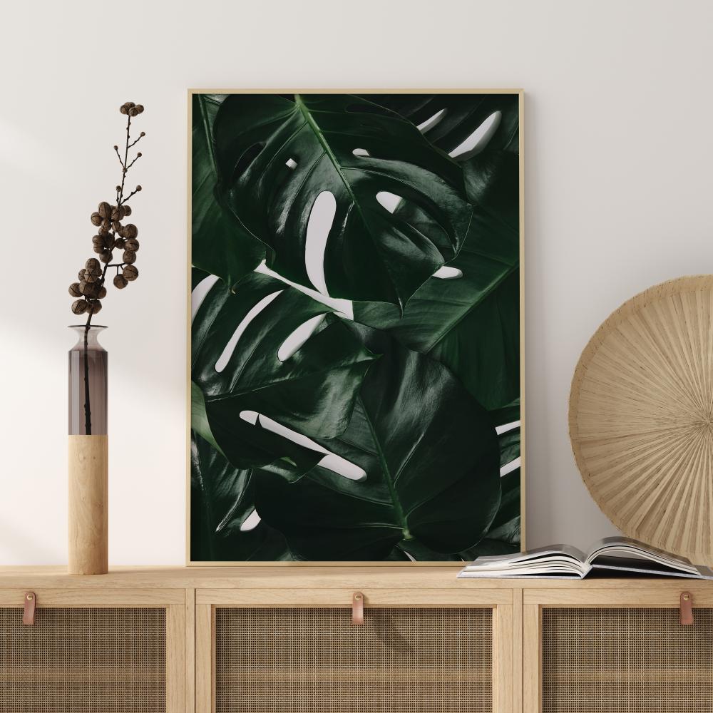 Monstera Plant I Poster