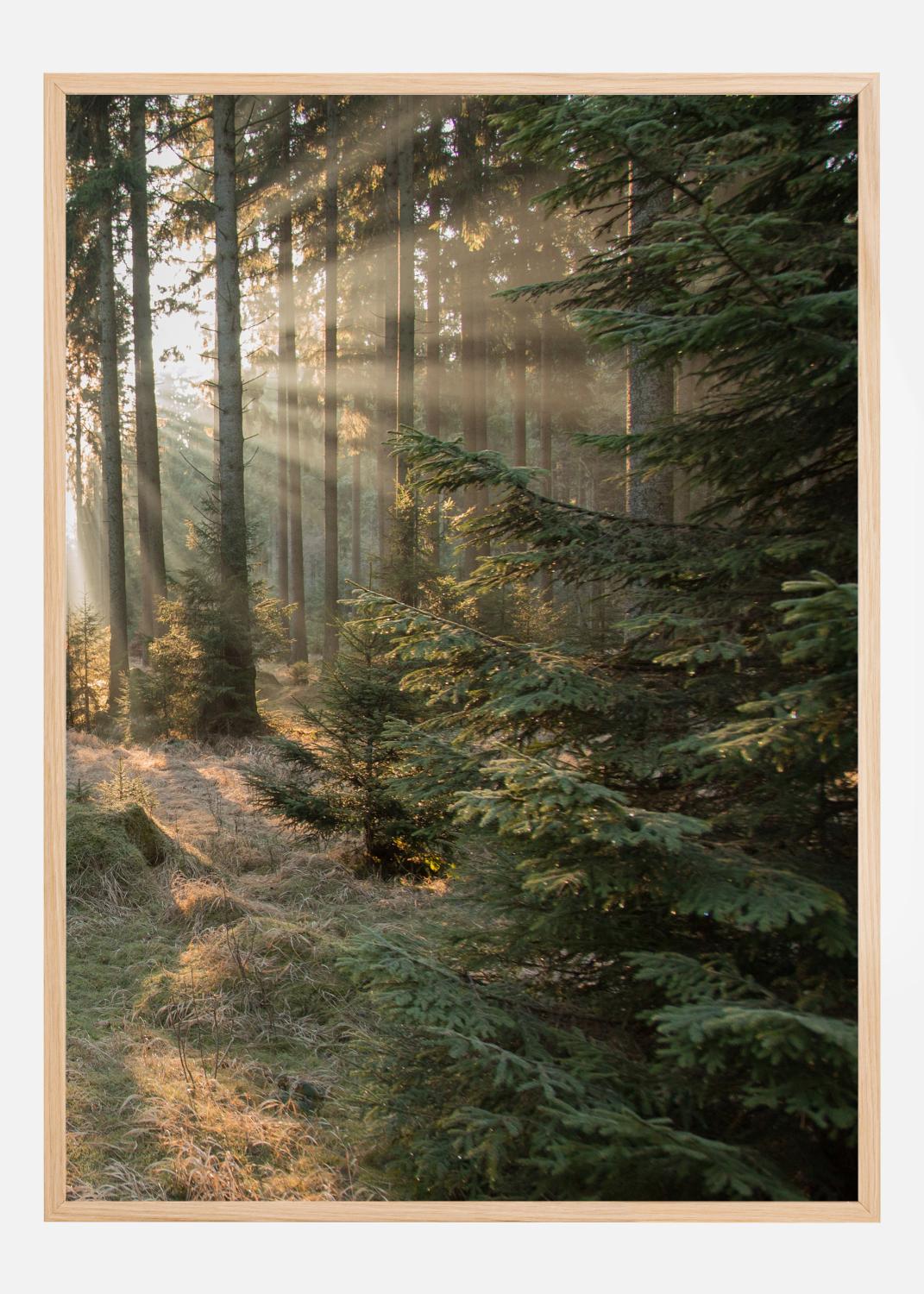 Product Image for Rays part 2 Poster (21x29.7 cm (A4))