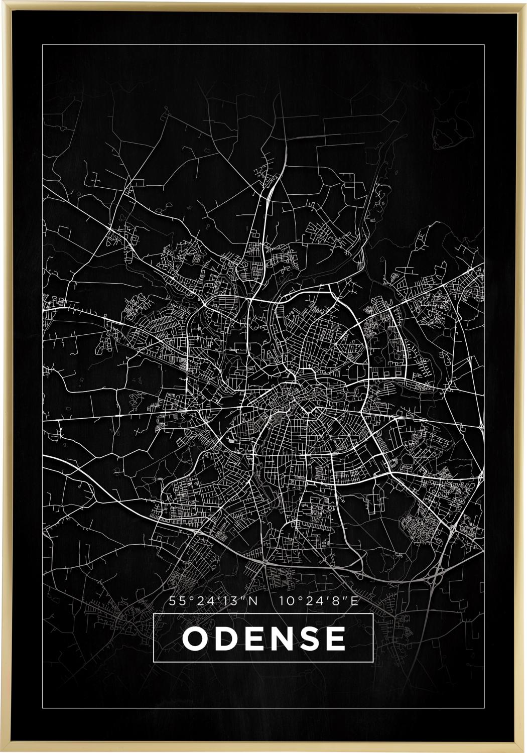 Product Image for Map - Odense - Black (21x29.7 cm (A4))