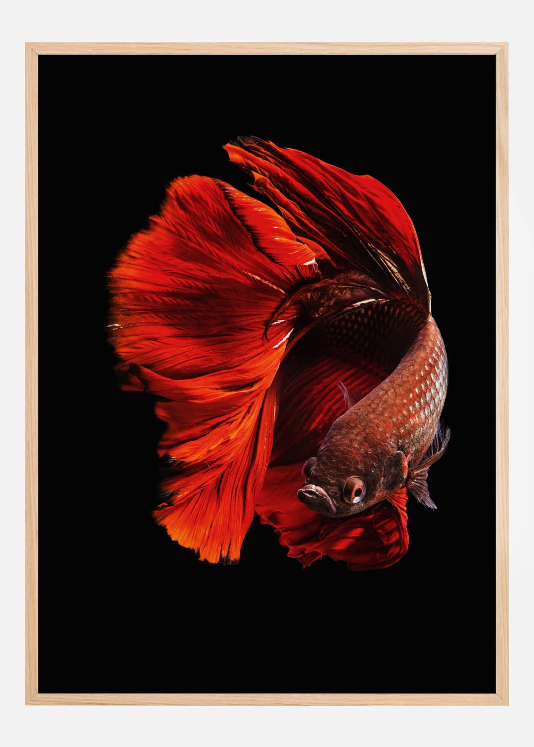 Product Image for The Red Poster (21x29.7 cm (A4))