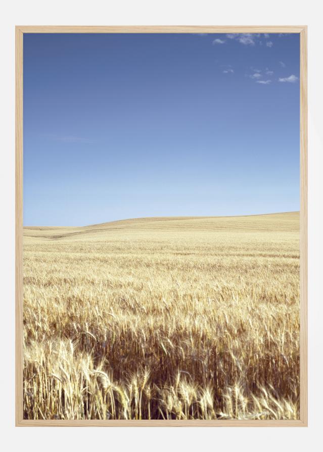 Beige Fields Poster