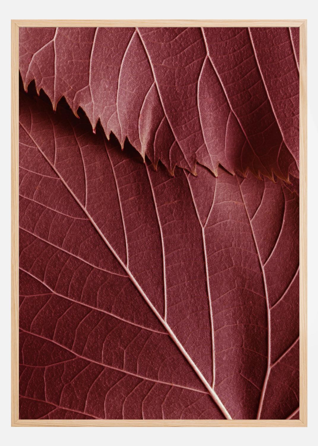 Product Image for Red Leaves Poster (21x29.7 cm (A4))