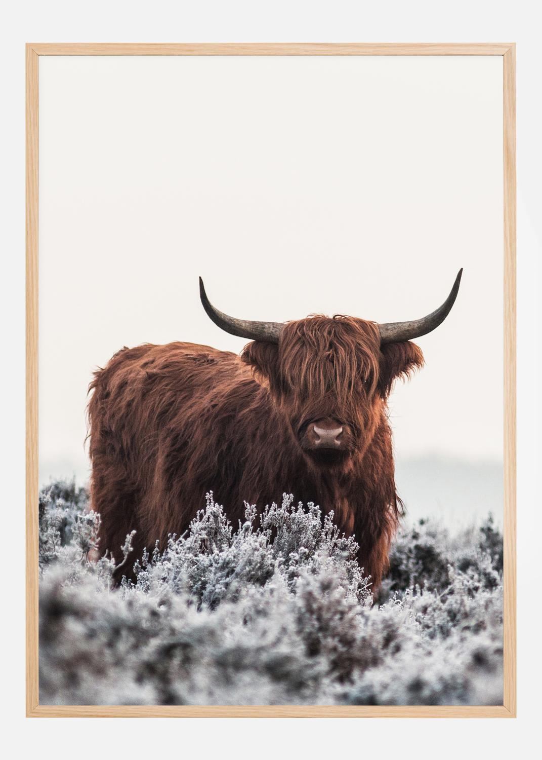 Product Image for Highlander Poster (30x40 cm)