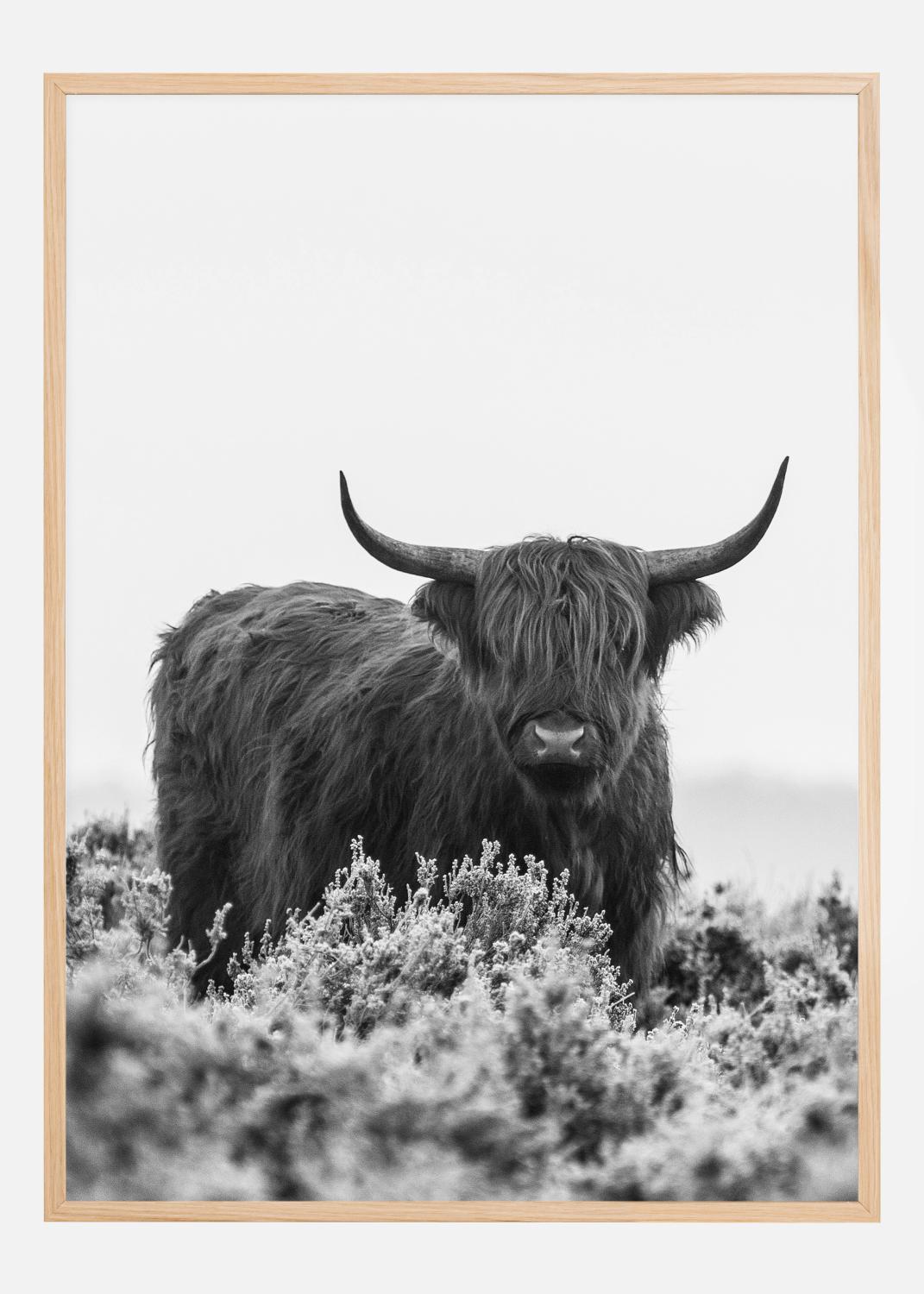 Product Image for Highlander BW Poster (21x29.7 cm (A4))