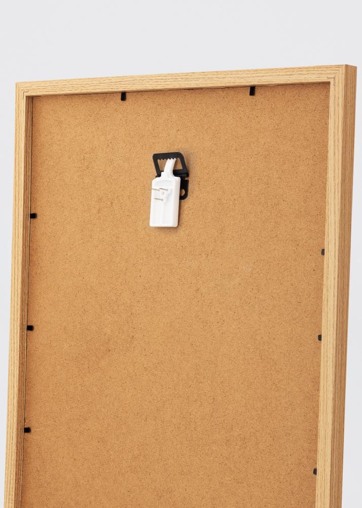 Bilderhaken für jede Wand - BGA Bilderhaken 2-p