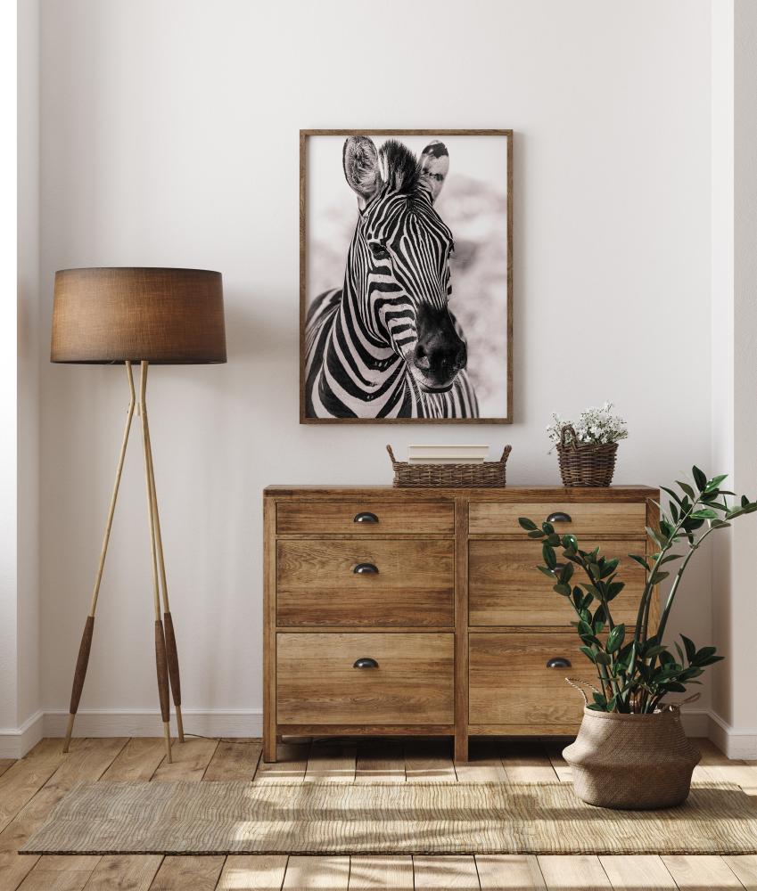 Zebra Poster