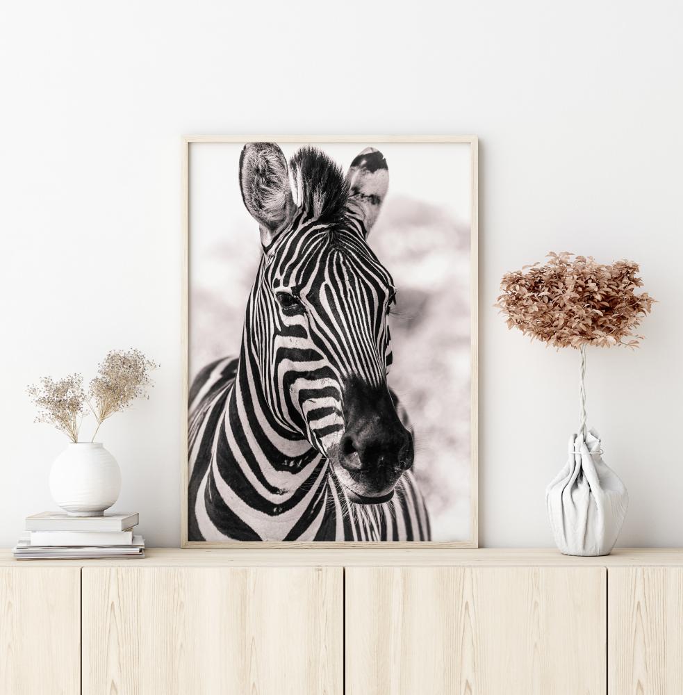 Zebra Poster