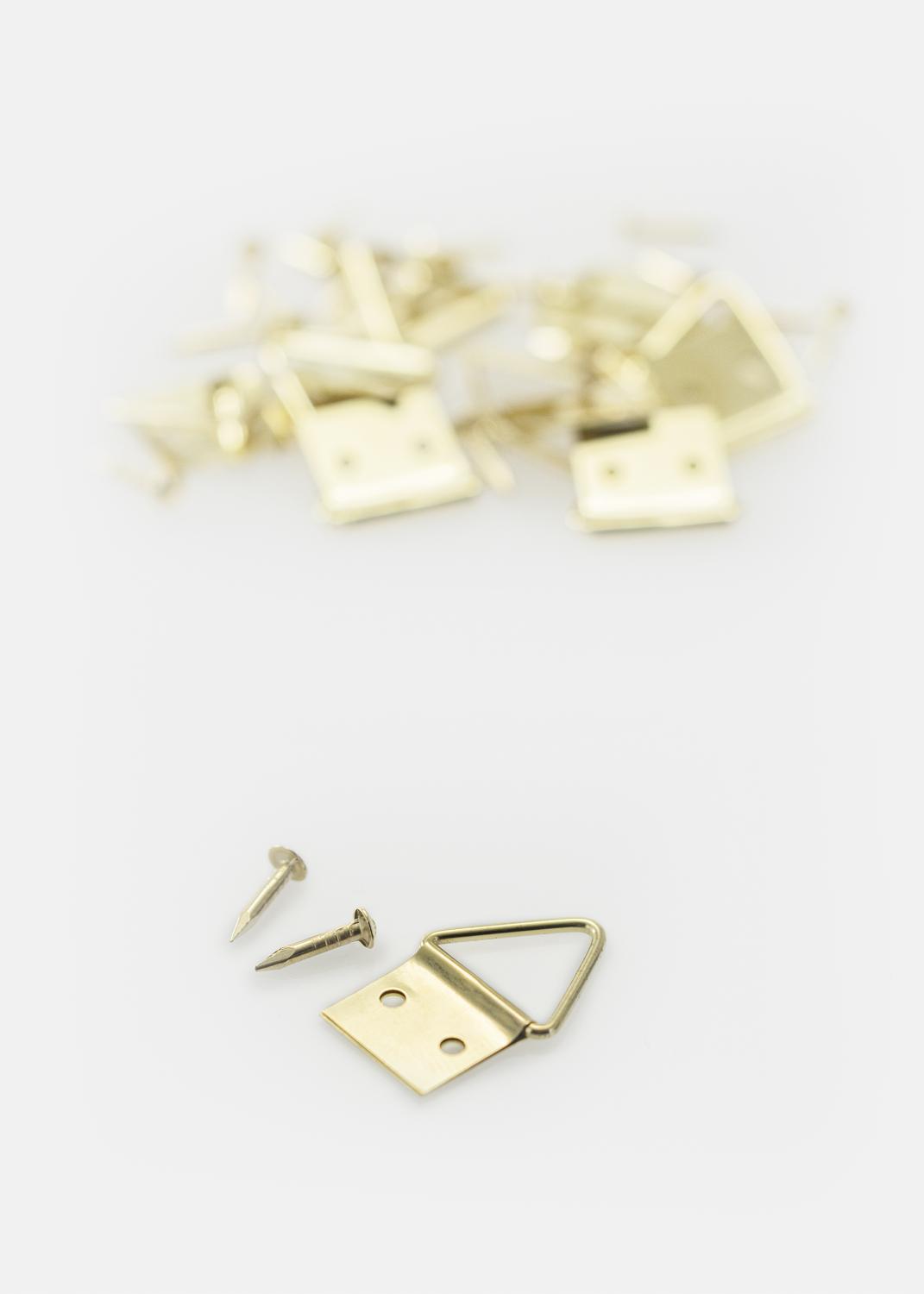 Product Image for Bilderöse Nr. 1 mit Nagel 10er-Pack